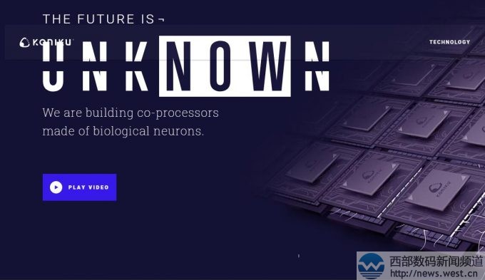 为了升级!终端花20万元从MikeMann手上买了这个域名